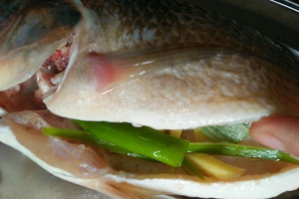 粤式清蒸鱼的做法图解5