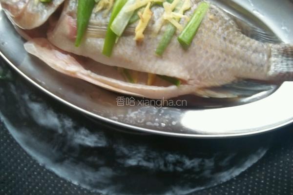 粤式清蒸鱼的做法图解7