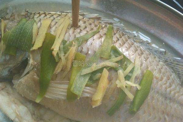 粤式清蒸鱼的做法图解8