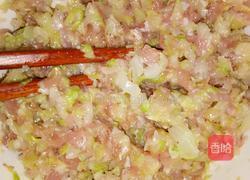 猪肉圆白菜水饺的做法图解4