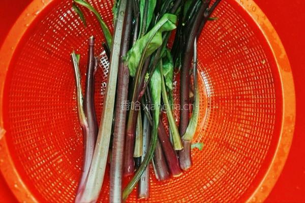素炒苔子菜的做法图解1