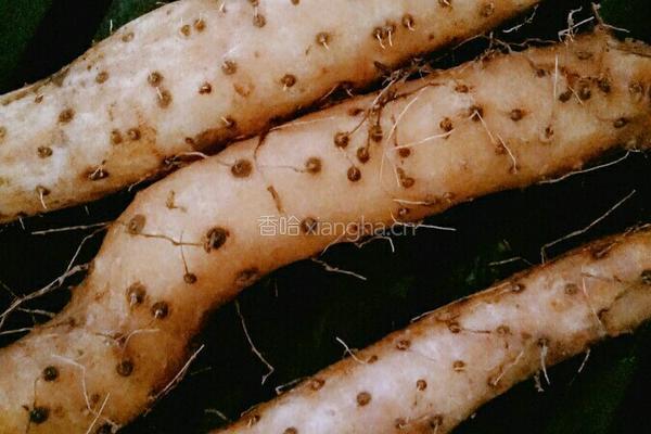 山药冰糖葫芦的做法图解1
