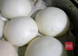蒸馒头的做法图解8