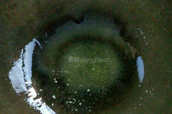营养素饺的做法图解10