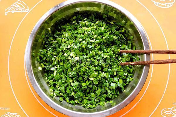 韭菜鲜肉馅饺子的做法图解6