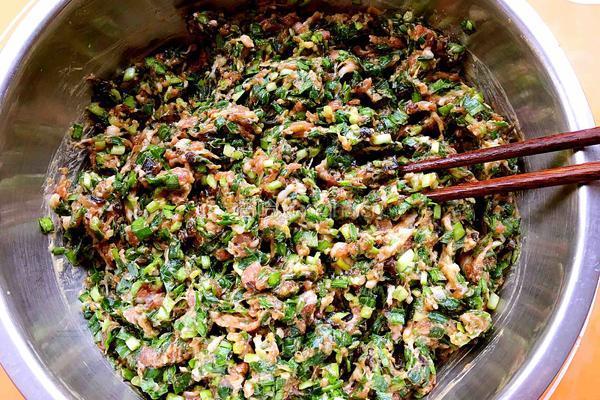 韭菜鲜肉馅饺子的做法图解11
