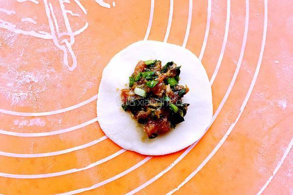 韭菜鲜肉馅饺子的做法图解15