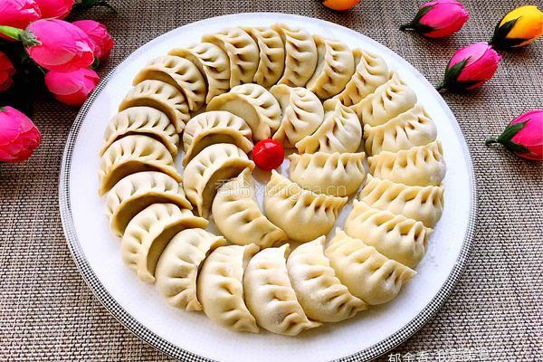 韭菜鲜肉馅饺子的做法图解21