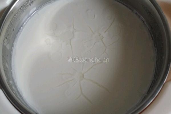 自制酸奶的做法图解8