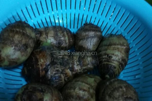 桂花芋圆羹的做法图解1