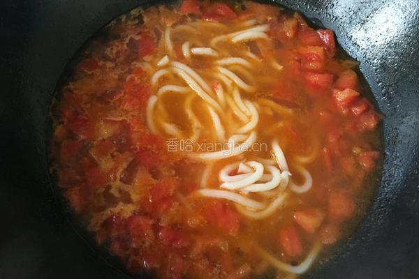 西红柿鸡蛋面的做法图解6