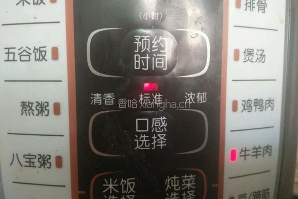 萝卜牛腩煲的做法图解9