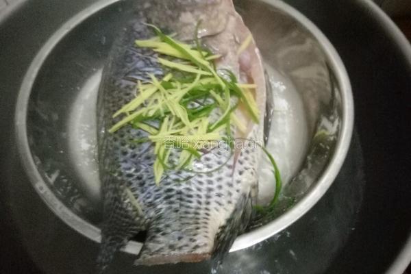 清蒸福寿鱼的做法图解7