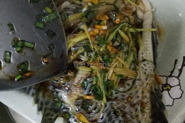 清蒸福寿鱼的做法图解16