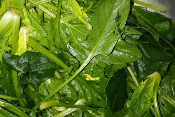 菠菜拌鸡蛋的做法图解1