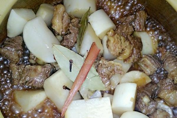 萝卜焖牛腩的做法图解5