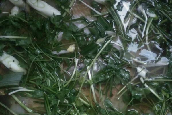 秘制腊鱼的做法图解5