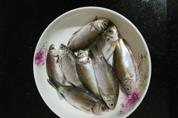 辣椒鱼仔的做法图解1