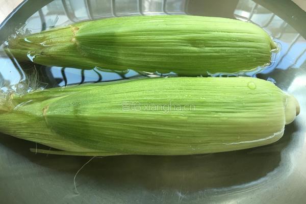 煮玉米的做法图解3