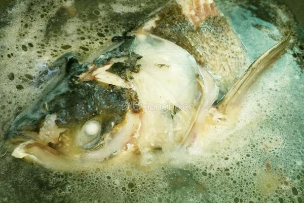 鱼头豆腐汤的做法图解5