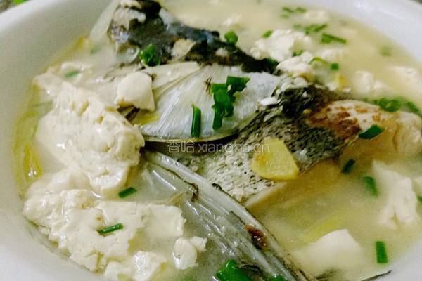 鱼头豆腐汤的做法图解8
