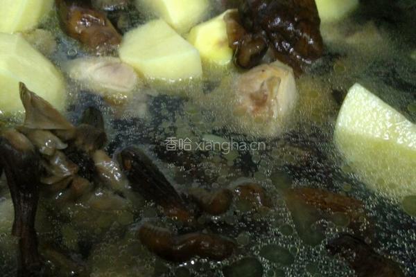 土豆蘑菇炖鸡的做法图解12