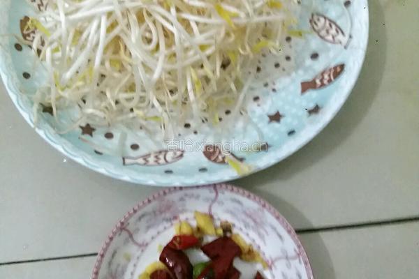 炝炒银芽的做法图解2
