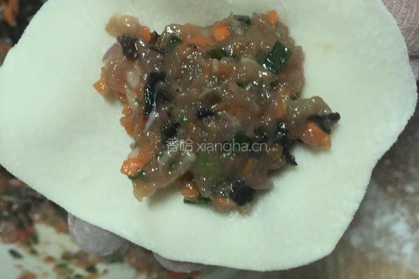 牛肉木耳胡萝卜饺子的做法图解13