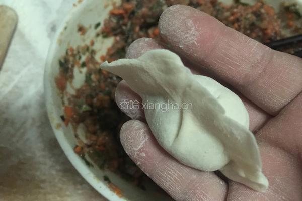 牛肉木耳胡萝卜饺子的做法图解14
