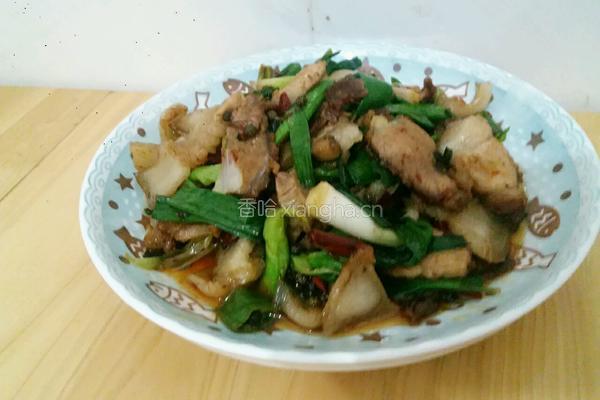 蒜苗回锅肉的做法图解10