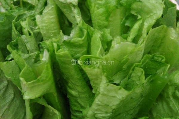 炒油麦菜的做法图解1