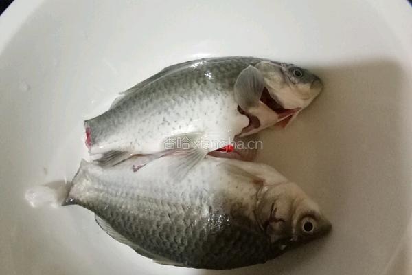 鲫鱼汤的做法图解1