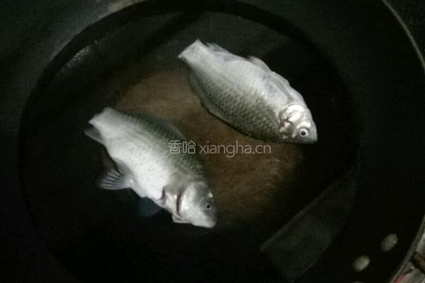 鲫鱼汤的做法图解3