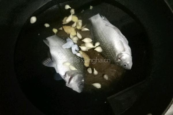 鲫鱼汤的做法图解4