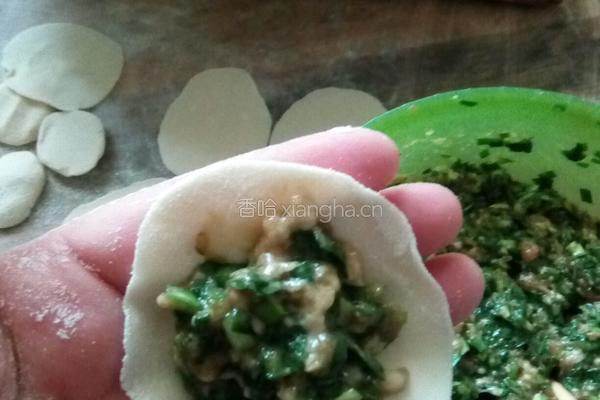 猪肉韭菜饺子的做法图解13