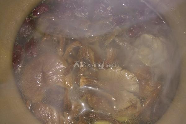 蘑菇鸡汤的做法图解7