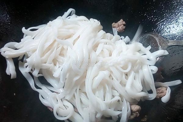 瘦肉炒河粉的做法图解4