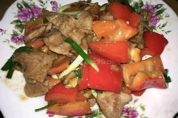 红椒炒肉片的做法图解8