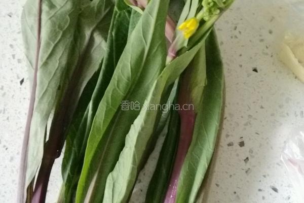 鲜花时蔬紫菜苔的做法图解2