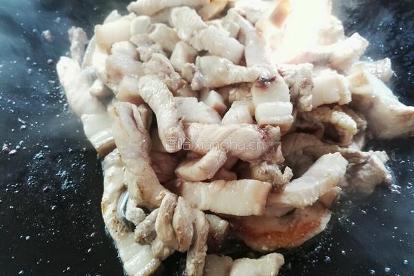 酸菜饭的做法图解6