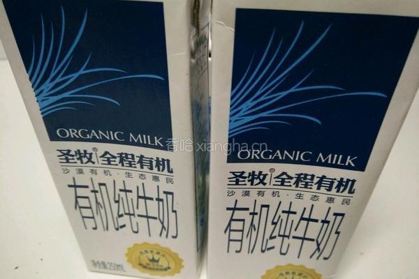 蒙古奶茶的做法图解3