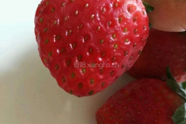 草莓圣诞老公公的做法图解4