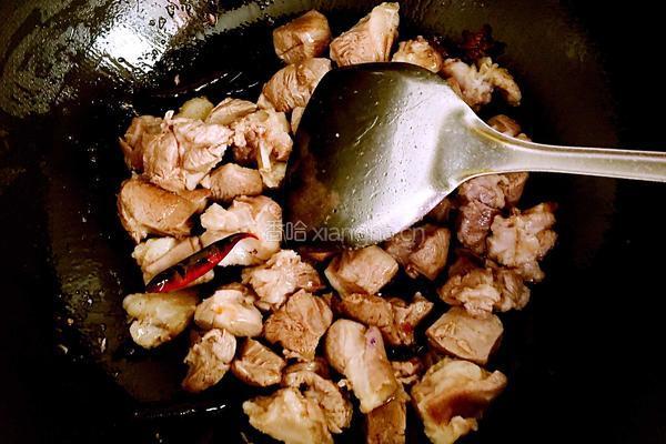 红萝卜炖羊肉的做法图解8
