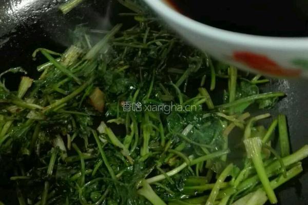 焖尖椒的做法图解11