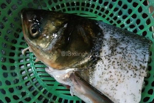 鱼头火锅汤底的做法图解2