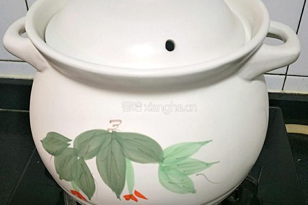 防霾养生汤的做法图解8