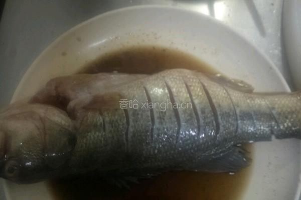 红烧鲈鱼的做法图解1