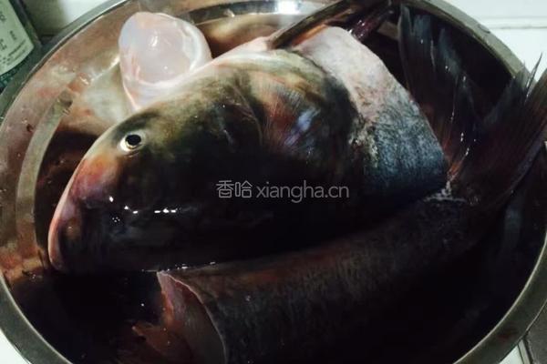 铁锅炖鱼的做法图解1