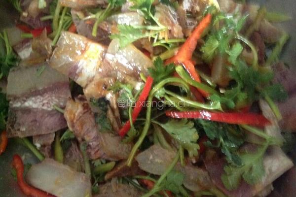香拌牛脸肉的做法图解10