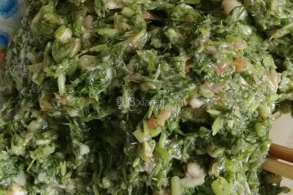 冬至茴香猪肉水饺的做法图解4